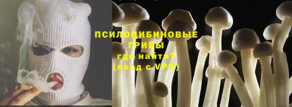 герыч Няндома
