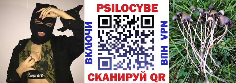 кракен ONION  Чита  Галлюциногенные грибы Psilocybine cubensis 