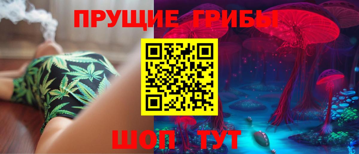 наркотики  Галлюциногенные грибы Psilocybe  Вход с VPN  Чита 